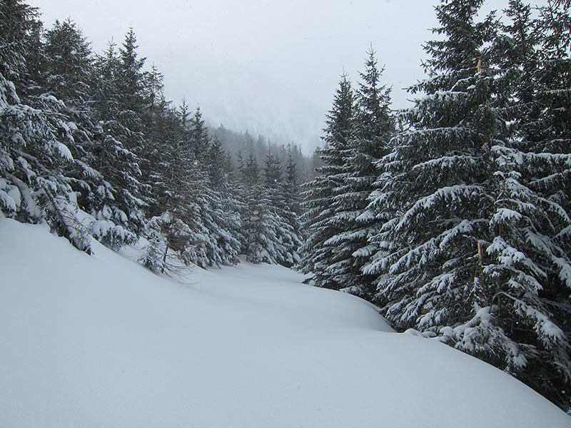 Kuhschneeberg